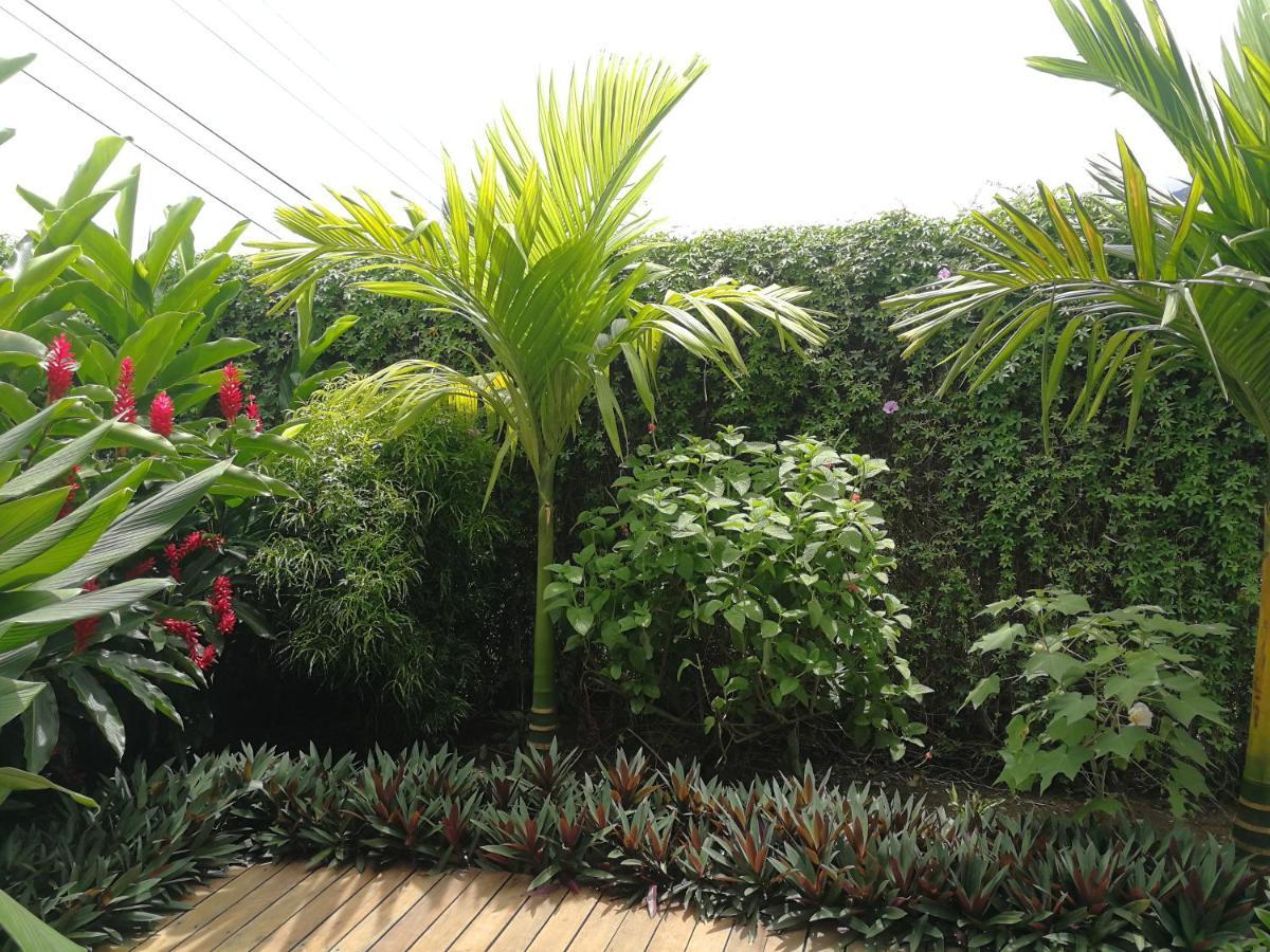 Tamandua -Home Feeling- La Fortuna ภายนอก รูปภาพ